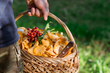 Similar image 21539784