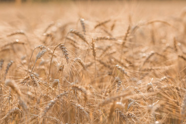 Similar image 21539785