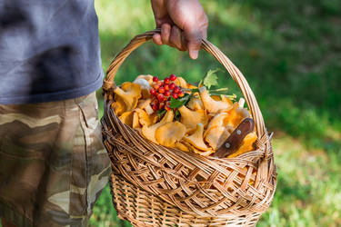 Similar image 21539786