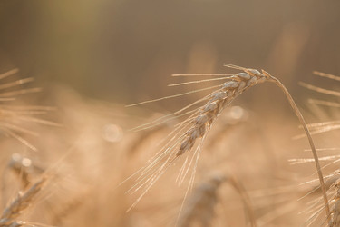 Similar image 21539787