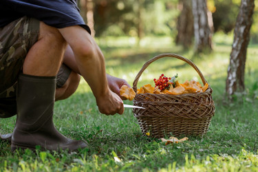 Similar image 21539788