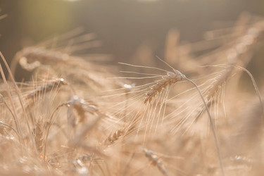 Similar image 21539789