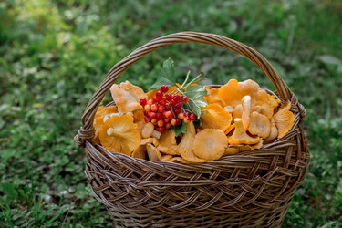 Similar image 21539790