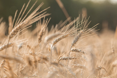 Similar image 21539791