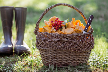 Similar image 21539792