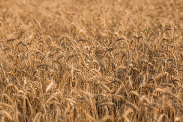 Similar image 21539793