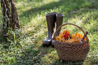 Similar image 21539794