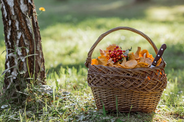 Similar image 21539796