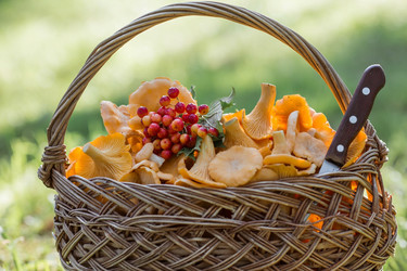 Similar image 21539800