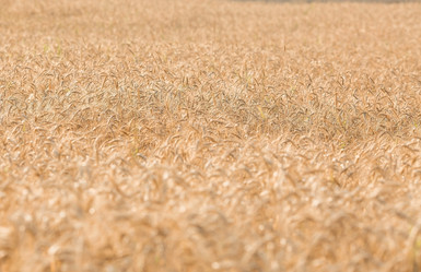 Similar image 21539801