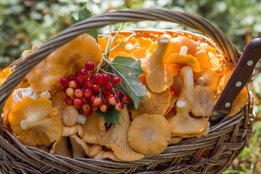 Similar image 21539802