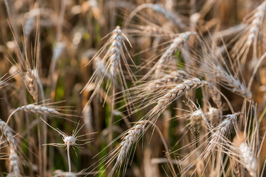 Similar image 21539803