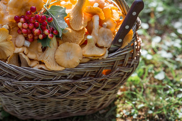 Similar image 21539804