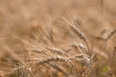 Similar image 21539805