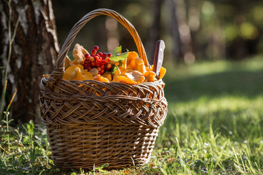 Similar image 21539806