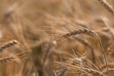 Similar image 21539807