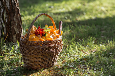 Similar image 21539808