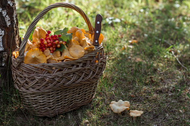 Similar image 21539810