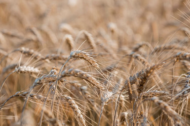 Similar image 21539811