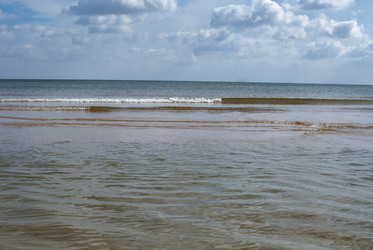 Similar image 21539928