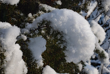 Similar image 21539930