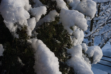 Similar image 21539931