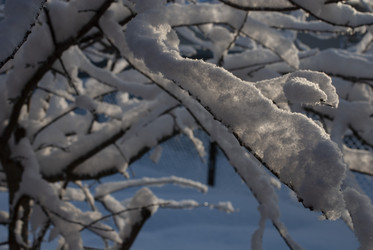 Similar image 21539932