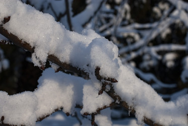 Similar image 21539933