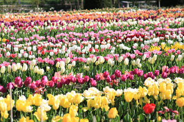 Similar image 21539940