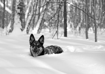 Similar image 21539941