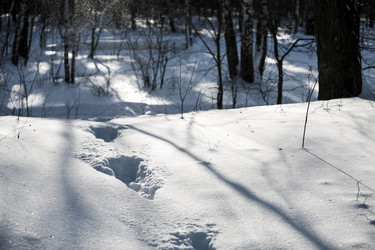 Similar image 21542569