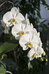 Similar image 21542571