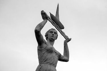 Similar image 21539947