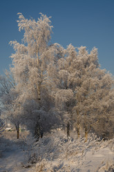 Similar image 21545703