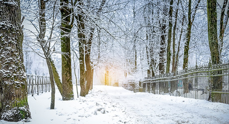 Similar image 21545709