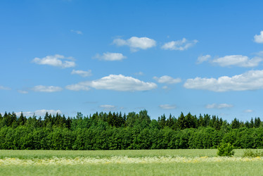 Similar image 21541437