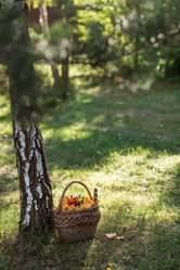 Similar image 21539948