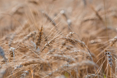 Similar image 21539949