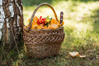 Similar image 21539950