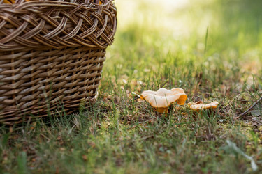 Similar image 21539952