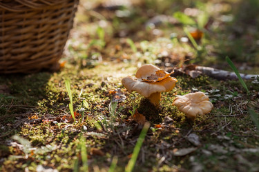 Similar image 21539954