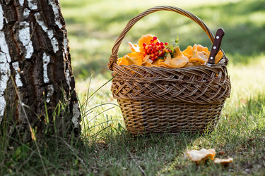 Similar image 21539955