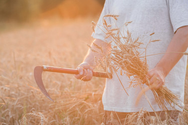 Similar image 21539957