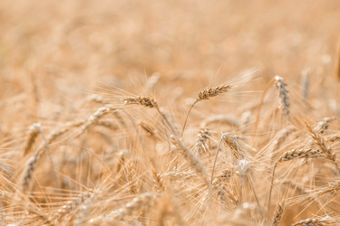 Similar image 21539959