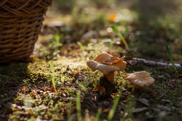 Similar image 21539960