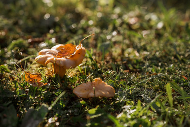 Similar image 21539962