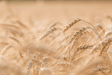 Similar image 21539963