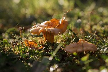 Similar image 21539964