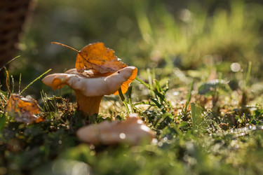 Similar image 21539966