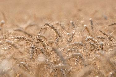 Similar image 21539967